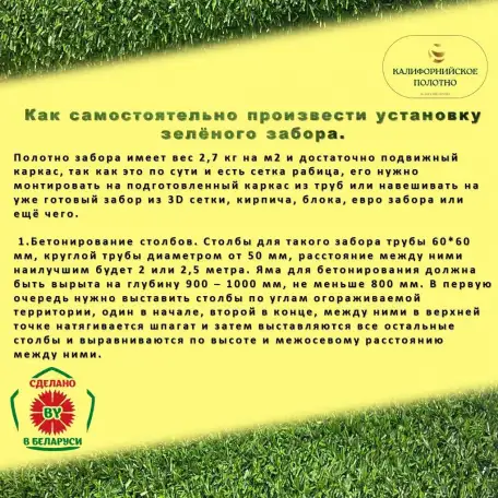 Зеленая изгородь, высотой 0,5 м длина 10 м, фотография 8