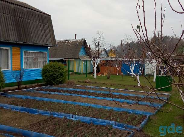 продается дача, смолевичский район калюжки ст автомобилист, фотография 3