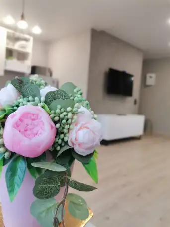 VIP квартира- студия в центре, фотография 11