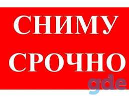 Срочно сниму 2-3х комн. квартиру, фотография 1