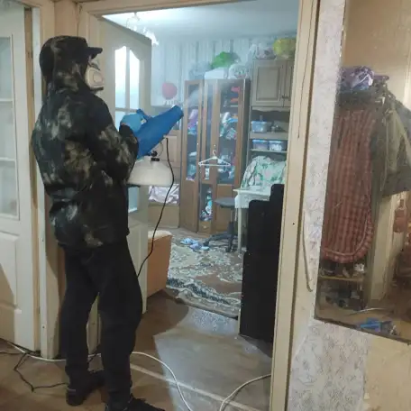 Уничтожение насекомых и грызунов по всей Беларуси (тараканы, клопы, клещи, грызуны), фотография 2