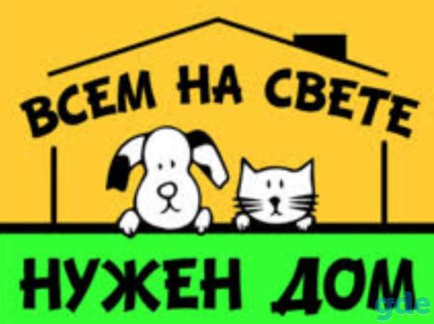 Дом, фотография 1