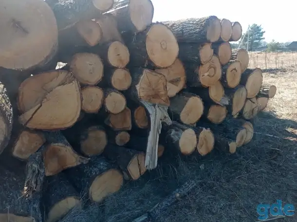 Продам дуб кругляк, фотография 2