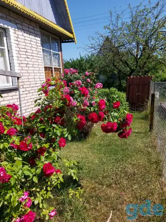 Продам дачу, Острошицко-Городокскийс/с .с/т Узборье 311, фотография 8