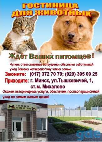 Гостиница для животных, фотография 1