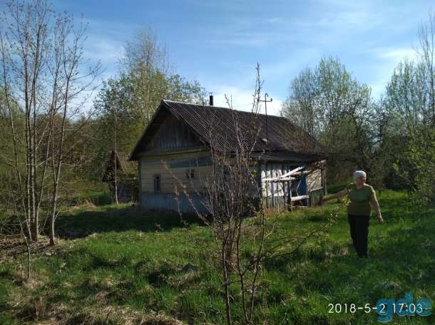 участок в заказнике на берегу озера 25 сот, Езерищанский рн пос Сурмино, фотография 3