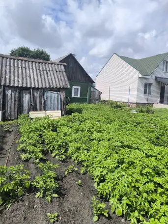 Продам дом, Гомельская область. Ул Интэрнациональная 29, фотография 12