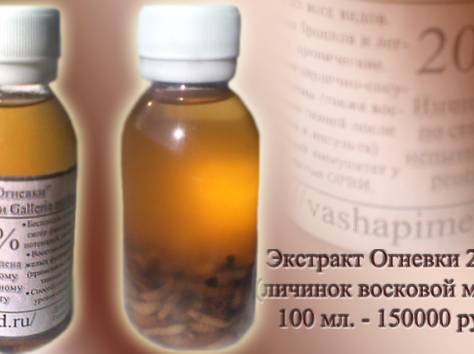 Купить настойку (огневки) восковой моли в Беларуси можно здесь., фотография 1