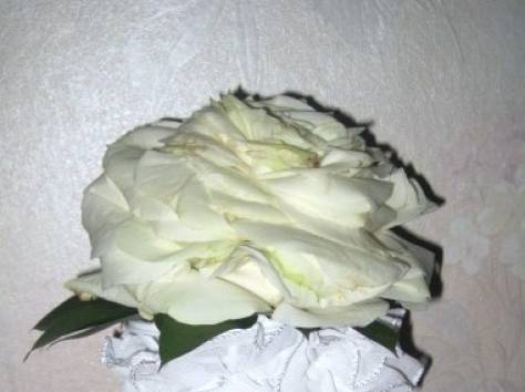 Флористика, фотография 3