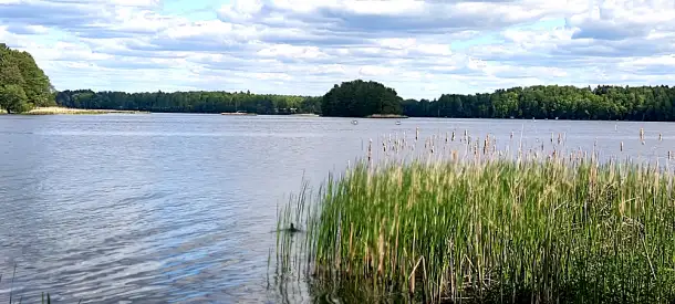 Дачный домик у леса, рядом с большим водоемом, СТ Спутник  Смык, фотография 19
