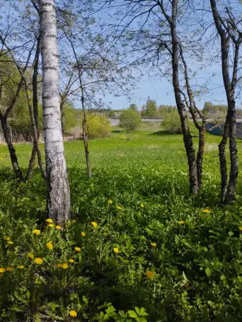 Продаю домучасток, Город Шклов, ул. Родниковая, фотография 3