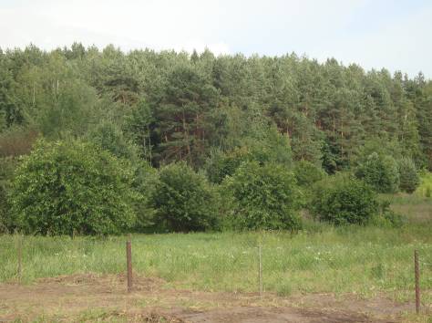продам коттедж в минском районе 10км от мкад, фотография 4