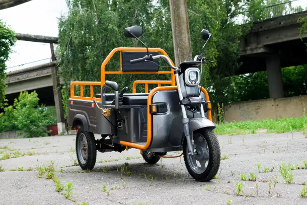 Электротрицикл AVM Cargo mini 800, фотография 3