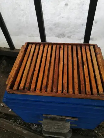 Продам ульи, фотография 1