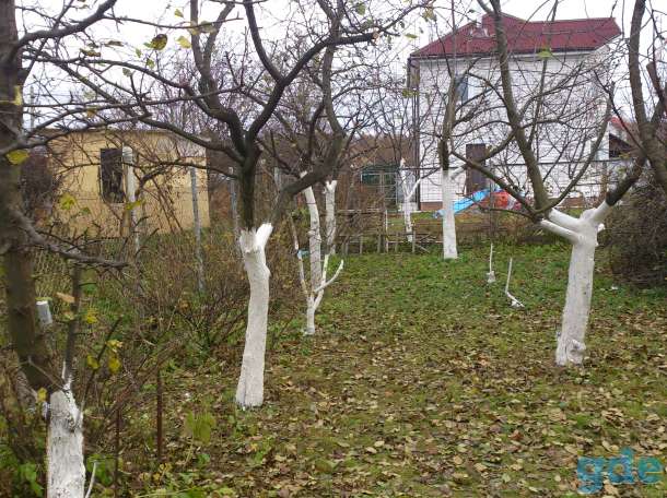 Обрезка сада любой сложности, фотография 4