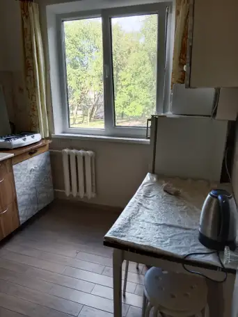 1 - комнатную квартиру сдаю, метро Пушкинская, фотография 5