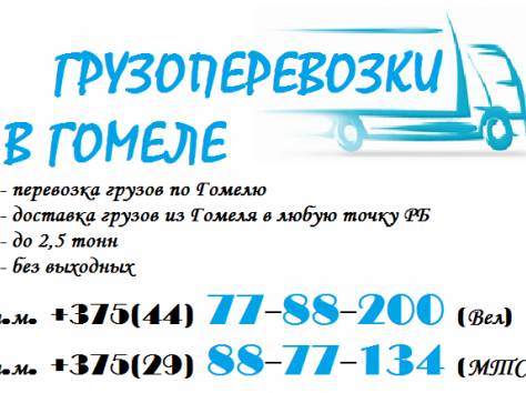 Грузоперевозки Гомель , фотография 1