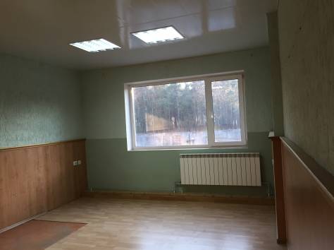 Сдается в аренду офис г.Светлогорск, фотография 3