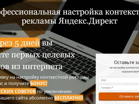 Профессиональная настройка контекстной рекламы в Яндекс.Директ, фотография 1