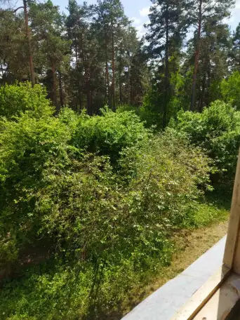 Уютная однокомнатная квартира - ваш дом вдали от дома !, фотография 10
