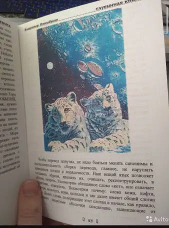 ГЛУБИННАЯ КНИГА. Владимир Пятибрат ПОЛНАЯ ВЕРСИЯ, фотография 9
