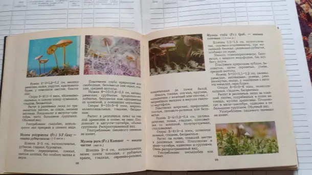 Книга о грибах Макромицеты, фотография 2