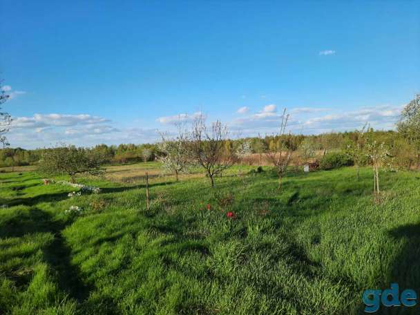 Продается дом поселок Восток, фотография 7