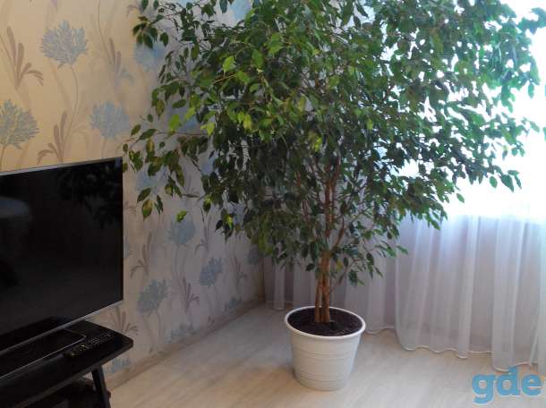 Продам, фотография 1