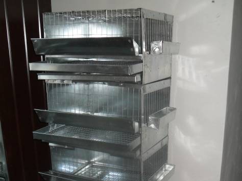 Продам клетки для перепелов,кур,брудеры универсальные для перепелов и цыплят, фотография 2