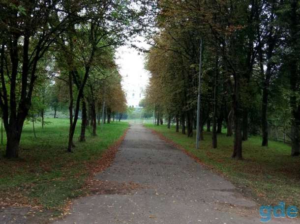 Участок с домом. Полоцк, фотография 9