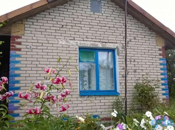 Дом в хорошие руки, Баранки, фотография 2