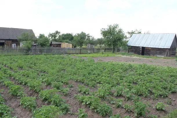 Продается дом в деревне с участком, Малоритский рвйон, д. Пажежин, фотография 3