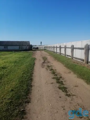 Продам лпх, фотография 3