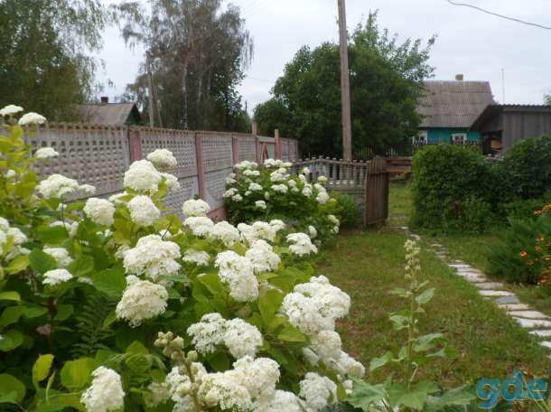 продам дом,кировский р-он д. Волосовичи, фотография 11