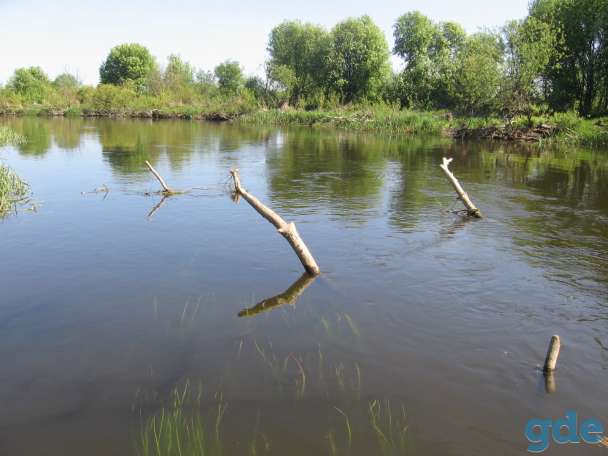 Продам дом, д. Бережно, Кореличский р-н, Брестское напр., 87 км от МКАД, фотография 6