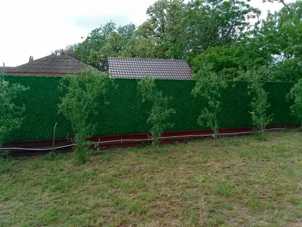 Калифорнийское полотно. Зеленый забор, фотография 10