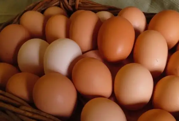 Продам яйцо домашнее куриное в Борисове, фотография 1