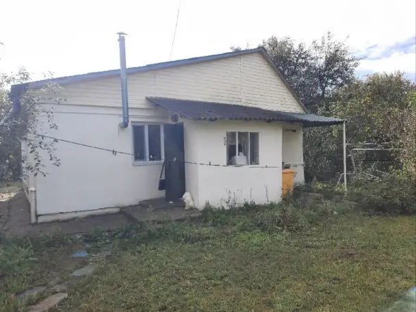 Жилой дом с баней и гаражами ул.М.Горького, 55 в г.Могилеве, фотография 1