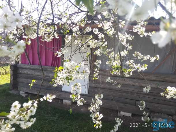 Продам дом с баней в Острино, Гродненская область, Щучинский район, г/п ОСТРИНО, фотография 5