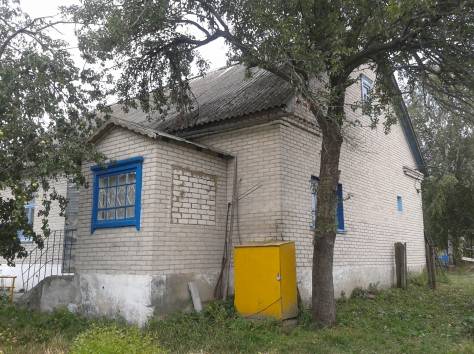Продам дом в д.Заболоть, 25 км от Солигорска, фотография 7