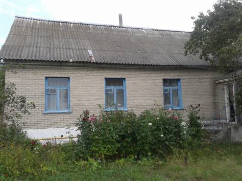 Продам дом в д.Заболоть, 25 км от Солигорска, фотография 8