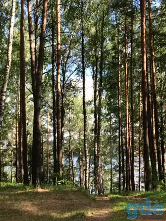 Квартира в санаторно-курортной зоне Лепельского района, фотография 9