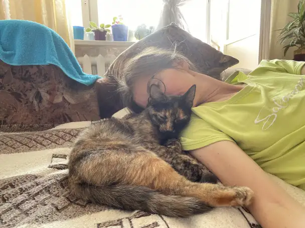 ВОЗНАГРАЖДЕНИЕ! Пропала Кошка Сима., фотография 11