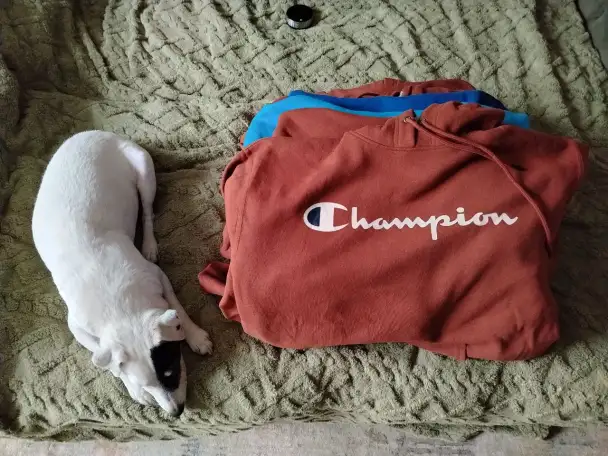 Худи с капюшоном Champion., фотография 1