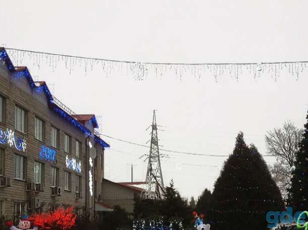 Большие уличные елки, фотография 1