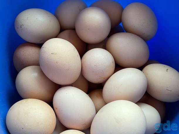 ПРОДАМ:  Яйцо домашнее, свежее., фотография 1