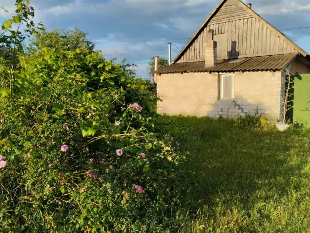 Продается два дома, Брестская область, район, Красная Воля, фотография 6