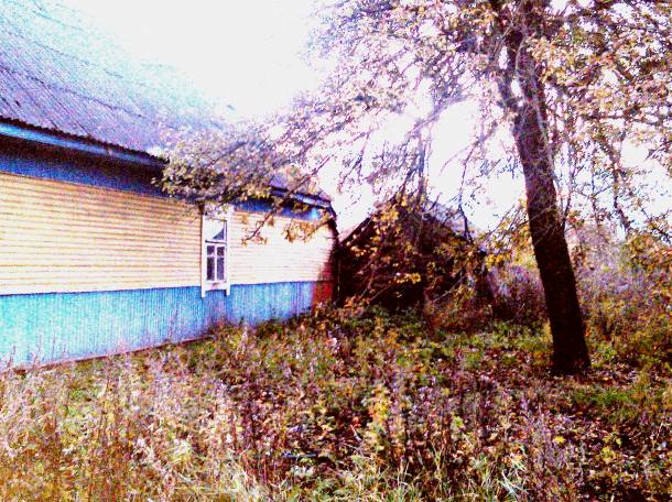 Дача, д. Огаревичи, фотография 7