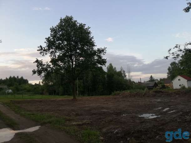 Участок дачный 10 соток, д. Мерковичи Логойского р-на, фотография 2