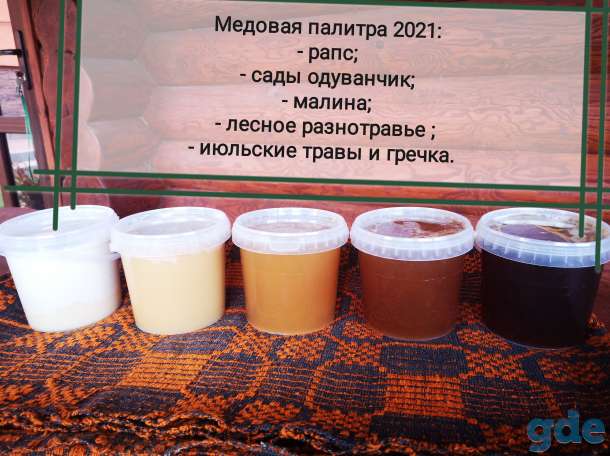 Мёд натуральный, пчелиный, фотография 1